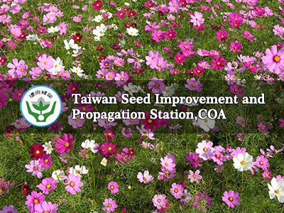 Taiwan Seed Improvement And Propagation, How Much Does Drought Resistant Landscaping Cost In Taiwan