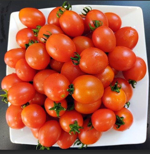 圖一、番茄「種苗亞蔬25號」小番茄果實外觀