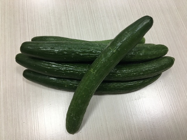 圖二、胡瓜種苗3號果實