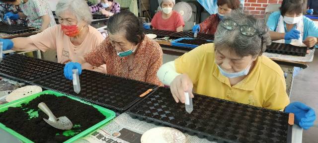 圖2.種子播種課程，是需要高度專注及細部的手部肢體活動，長者均完成作品