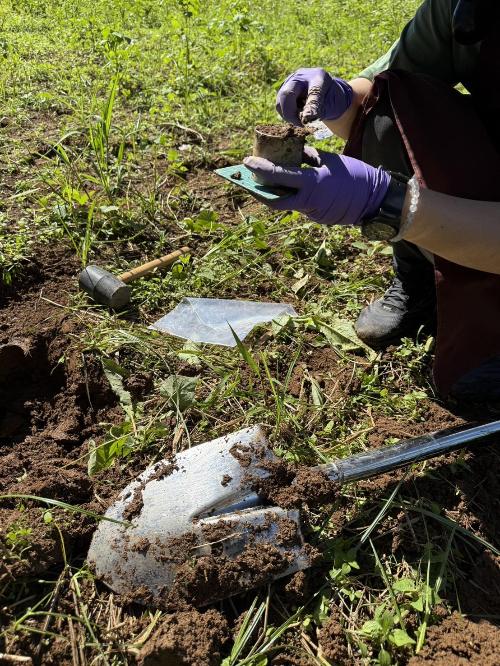 圖一、綠肥種植區域土壤取樣，以長期追蹤土壤碳儲存量