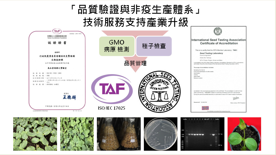 圖2.透過具備第三方驗證之西瓜果斑病檢定技術，我國已建立從檢測方法、實驗室能力到品質管理制度之完整驗證鏈，做為推動健康種子、非疫生產體系及強化國際市場信任之關鍵基礎。