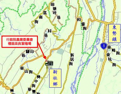 由國道一號或國道三號轉接國道四號後，往東行駛至台三線豐勢路後左轉往東勢方向行駛，循129縣道往新社、台中方向行駛，可達本場本場。