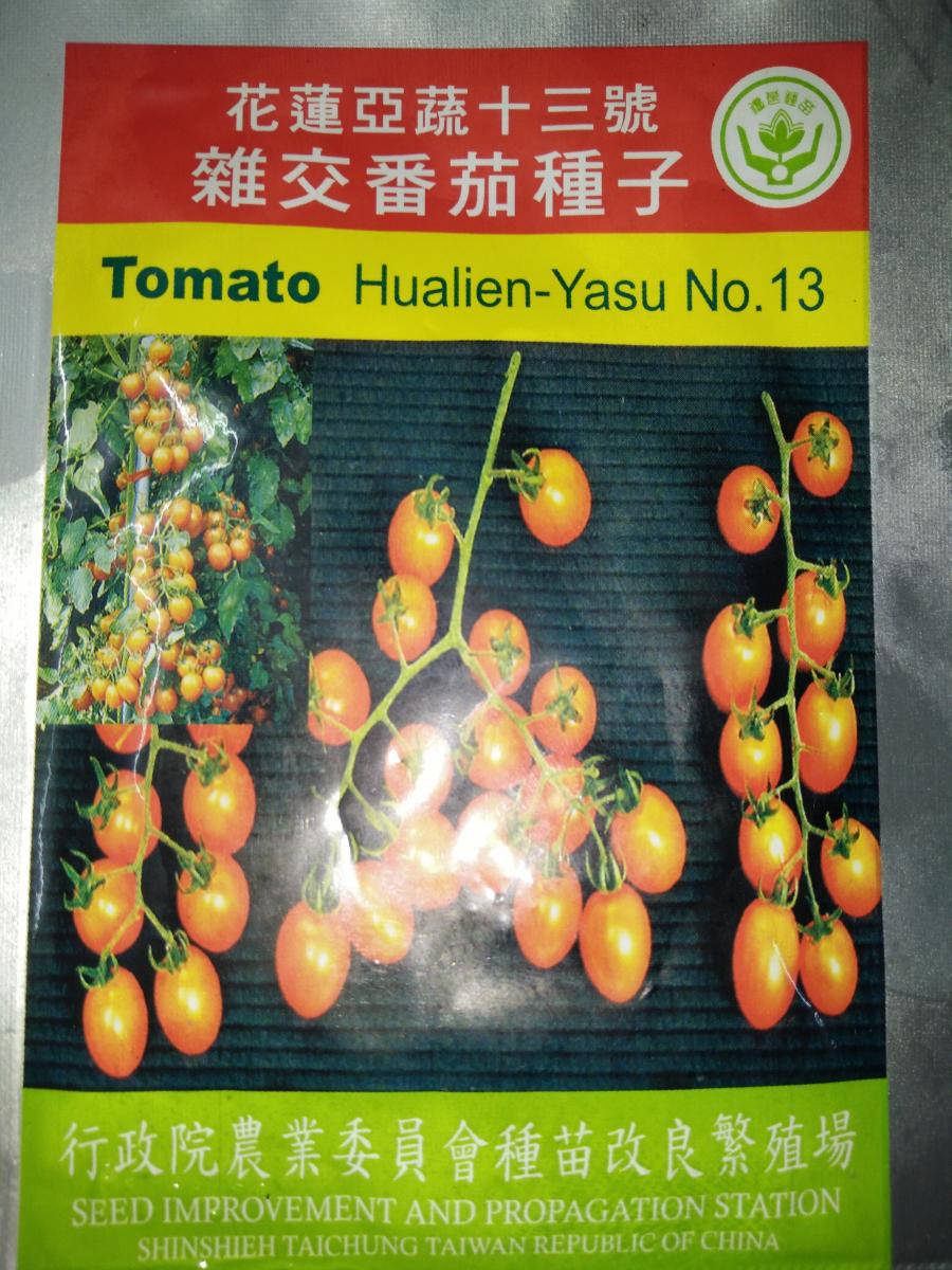 小果番茄花蓮亞蔬13號種子