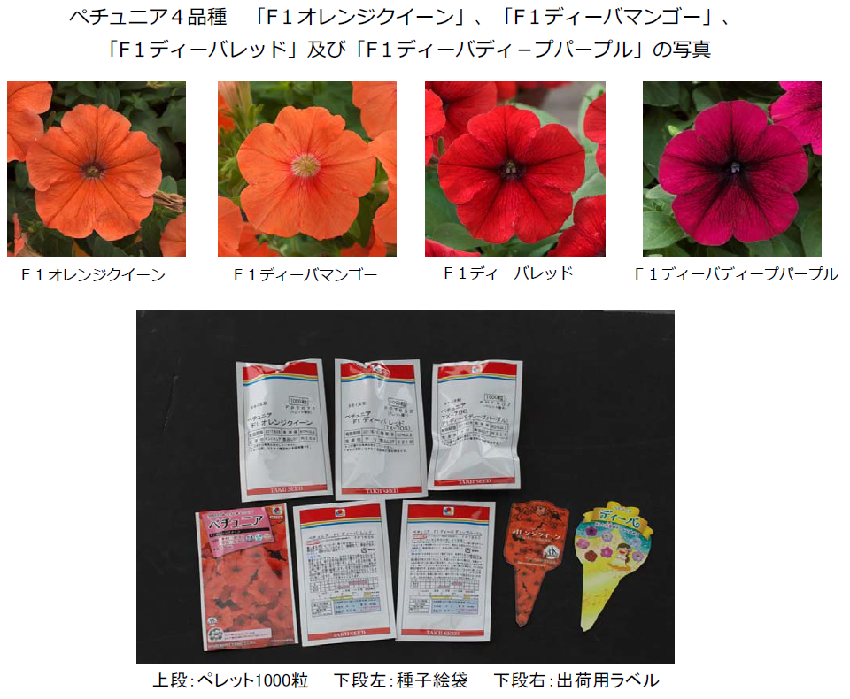 Fig2. Ministry of Agriculture, Forestry and Fisheries (Japan) announced the recall of genetically modified petunia bred by Takii seed company. Based on the investigation report of USDA,  Three structures characters, CaMV35S promoter, Nos promoter and Nos-P-NptII   were used as the detection targets to establish the detection method of  genetically modified petunia.