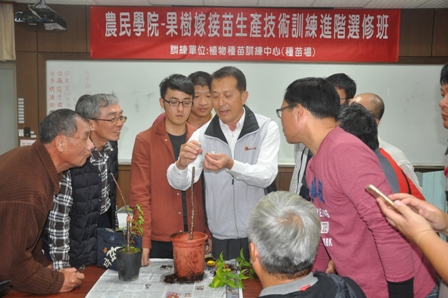 Scion Production for Fruit Tree Grafting- The trainees were practicing grafting for fruit trees.