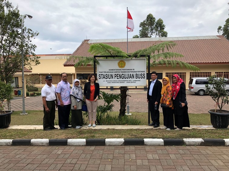 Fig. 2. DUS examiners of TSIPS visited ‘Manoko DUS Testing Station’ in Indonesia.