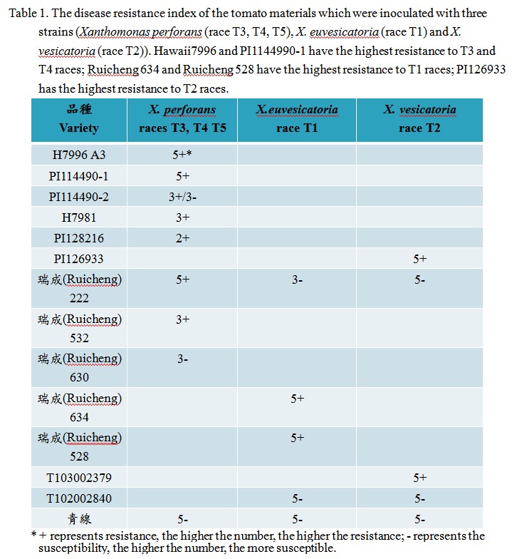 Table 1. The disease resistance index of the tomato materials which were inoculated with three strains (Xanthomonas perforans (race T3, T4, T5), X. euvesicatoria (race T1) and X. vesicatoria (race T2)). Hawaii7996 and PI1144990-1 have the highest resistance to T3 and T4 races; Ruicheng 634 and Ruicheng 528 have the highest resistance to T1 races; PI126933 has the highest resistance to T2 races.