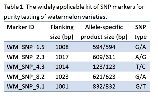 Table 1. The widely applicable kit of SNP markers for purity testing of watermelon varieties.