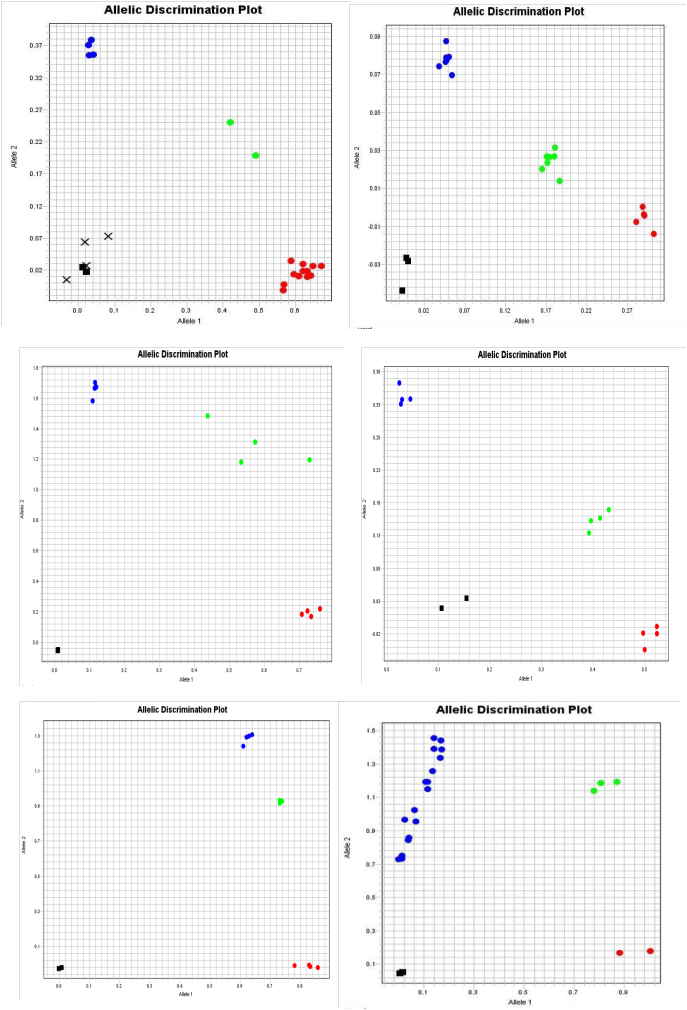 Fig. 1. The Real-time PCR SNP marker analysis of tomato resistant genes. Top left: Ty-1; top right: Ty-2; middle left: I-3; middle right: Frl; down left: Ve1; down right: Mi.