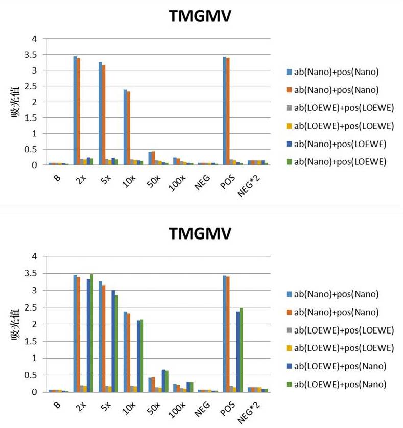 Pic. 2. Identification effect of different commercial antibodies and antigens of TMGMV reacted to each other.