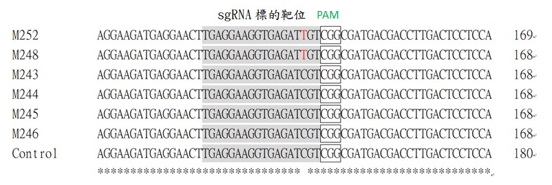 SgRNA targeted mutation detected in melon plants induced by CRISPR/Cas9 vector.