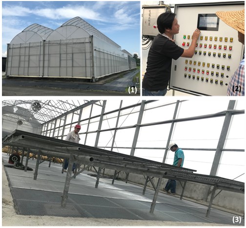 For improving the quality of papaya seedlings, we set up roof-vent and side-roller with the intelligent environment control system and renovated the punching net to make better environment of the green house.