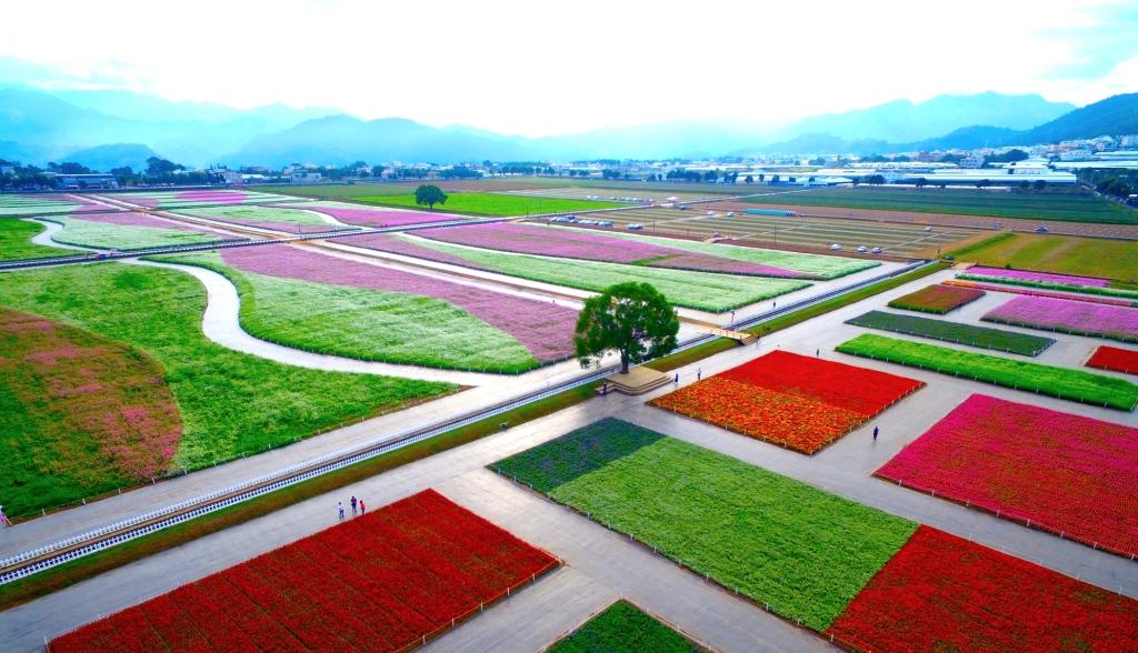 Aerial view of“2018 Sea of flowers in Xinshe”