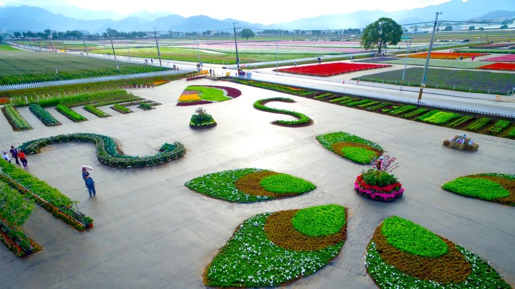 The edible landscape (imagery of tung tree blossom) of“2018 Sea of flowers in Xinshe”