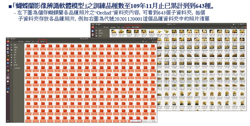 Fig.2. Photographs of Phalaenopsis 643 varieties from different angles were completed.
