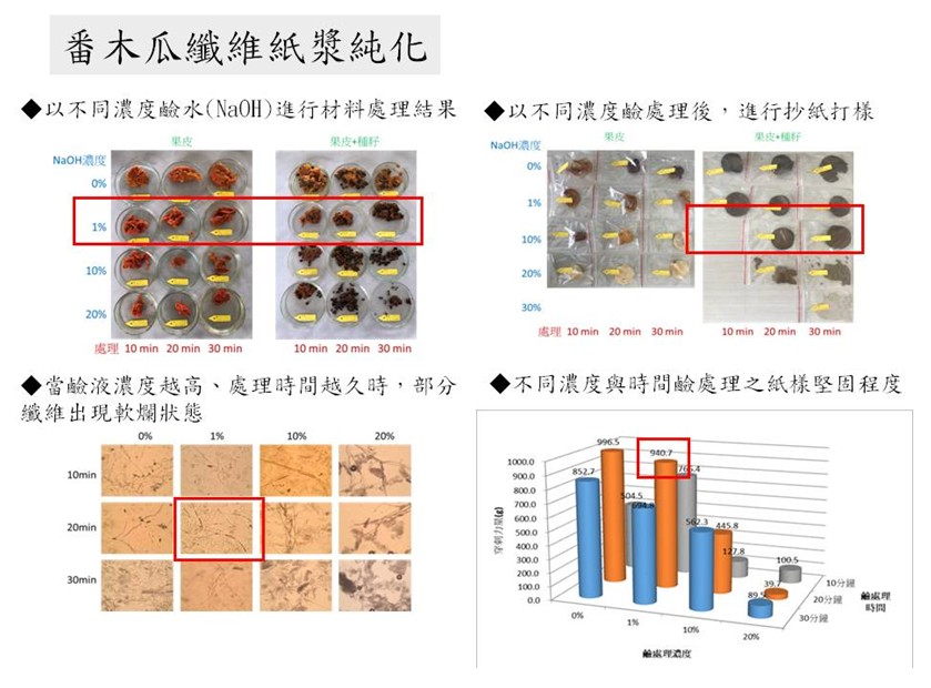 Fig. 1. The fiber condition of papaya pulp treated with 1% lye for 20 minutes is the best, and the result of paper proofing is also the best.
