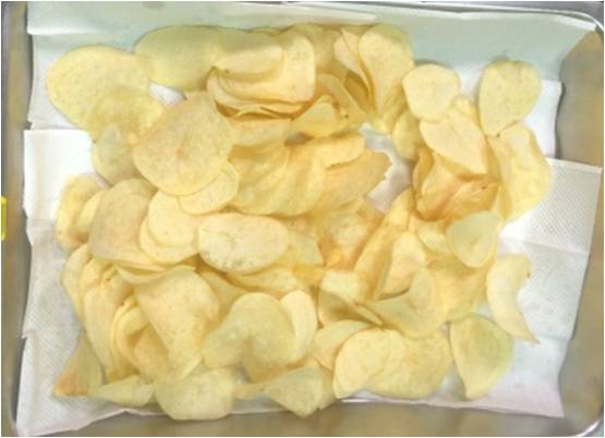 Fig.3. Potato Chips for TSS No 6.