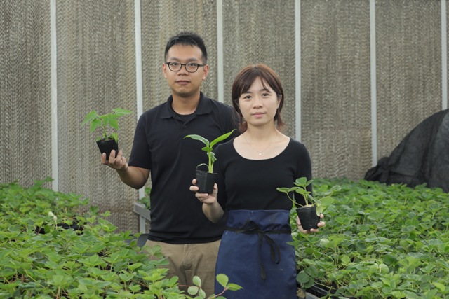 Chia-Tzu with her healthy seedlings of bananas, papaya, and strawberries