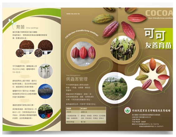 Folding page of ‘Friendly cultivation of cocoa seedlings’.