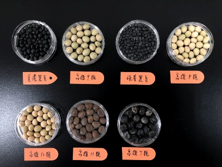 Soybean origin in akizaku of 109