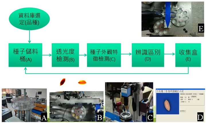 Fig3. Operating procedure of the discriminative system for rice seed