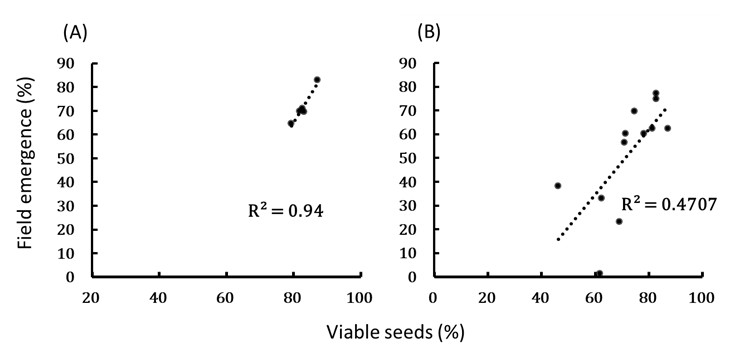 Fig2. The correlation between TTC dying method and field emergence: (A) indica rice(B) japonica rice.