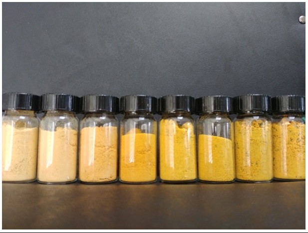 Fig35-3.Different types of pumpkin pulp are crushed into pumpkin powder, arranged according to the fullness of the color.