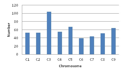 The number and distribution on chromosomes of 530 SNP markers developed in this study for Brassica oleracea.