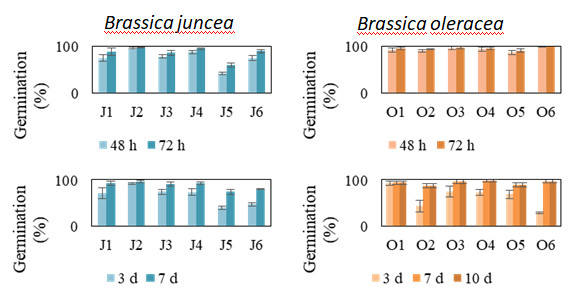 Participating in the comparative testing of radicle emergence of Brassica seed.