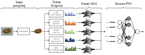 The deep learning classifier architecture for multimodal feature of seed