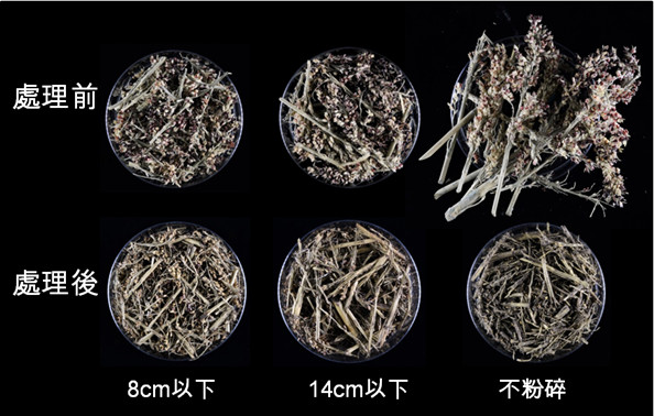 Appearance of corn cobs with different pulverization degrees before and after rapid resource-based processing.