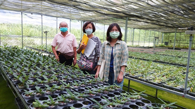 TSIPS examines the artificial propagation nurseries every year.