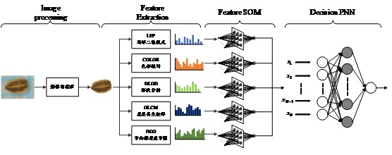 Fig2. The classifier architecture of multimodal features for seed