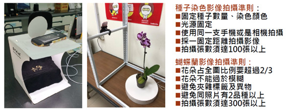 Fig.2. Establishment of a system for determining infringement of phalaenopsis variety rights