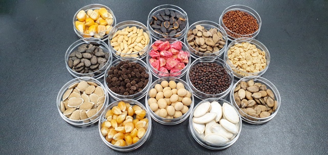The testing services in the platform include the important crops, such as Brassicaceae, Solanaceae, and Cucurbitaceae
