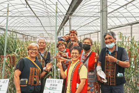 Figure 2: Photo of  indigenous people from the Taitung tribe and Tse-Xin Foundation with indigenous millet germplasms in TSIPS nursery.
