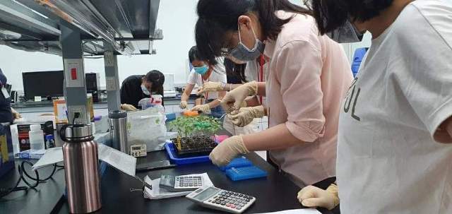 Fig.1. The trainees conducted nucleic acid extraction from plant materials