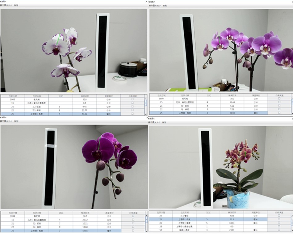 Fig 1. AI intelligent measurement of various characteristics of phalaenopsis test varieties, and each characteristics is integrated with DUS test of plant variety rights of phalaenopsis and characteristics database system.