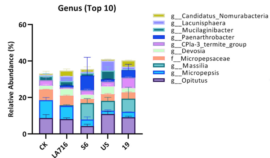 Fig. 2. Genus-level fungal community analysis revealed that the drought-tolerant variety S6 exhibited the highest proportion within the genus Paenarthrobacter, a member of the Micrococcaceae family. Some species within this genus possess abilities such as promoting plant growth, enhancing plant stress tolerance, and resisting plant pathogenic fungi.