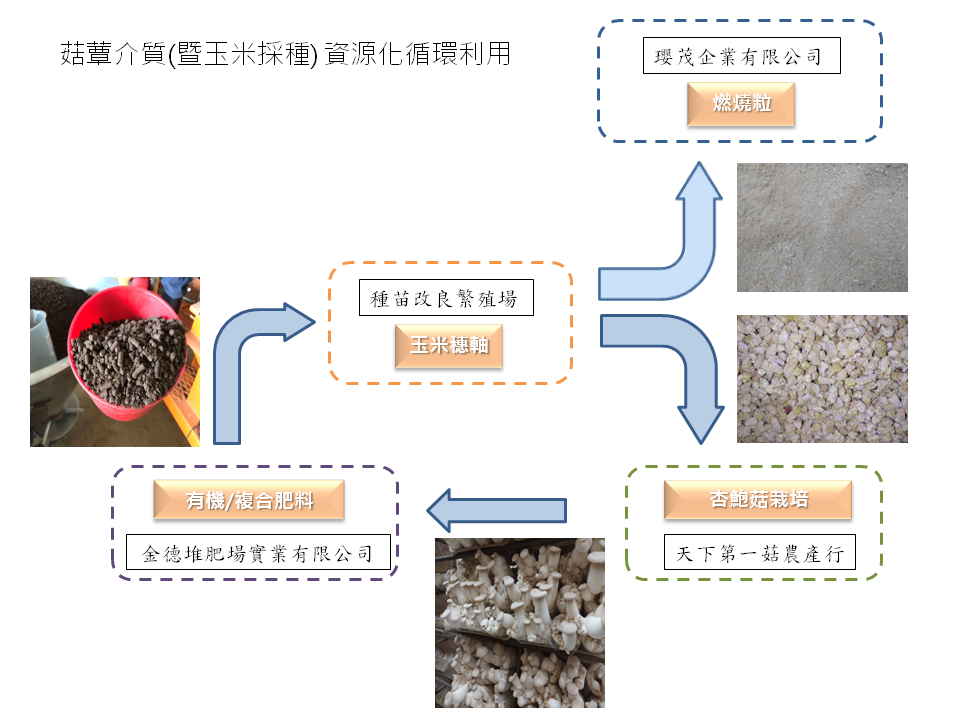 Mushroom Cultivation - Seed Corn Production Recycling Production System