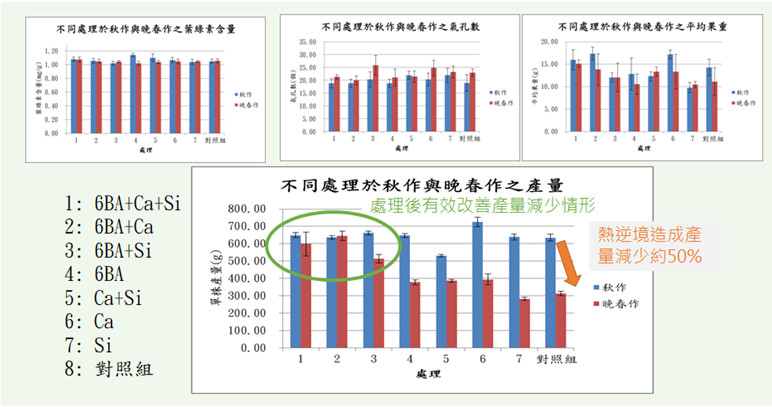 Fig. 4. Effects of different treatments in different seasons on high-temperature cultivation of tomatoes