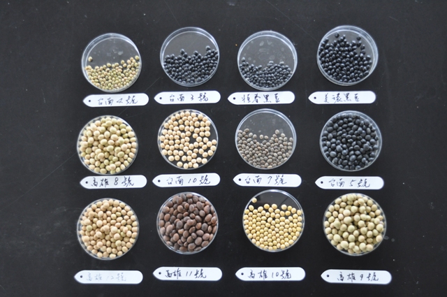 Figure 2. Common soybean varieties in Taiwan, seed morphology patterns and indoor seed inspection indicator samples.