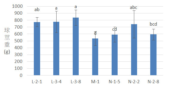 Fig.1. Yield survey results from the seedling cultivation of seven healthy taro clones that were collected and established in Taichung.