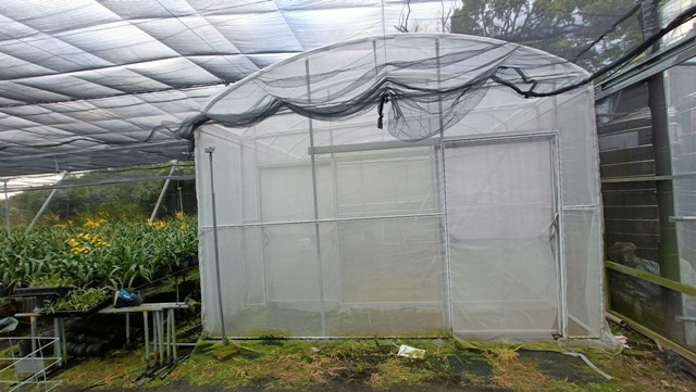 Figure 1. The facilities of the Oncidium healthy mother plant screenhouse include 32-mesh netting and a double-door system.