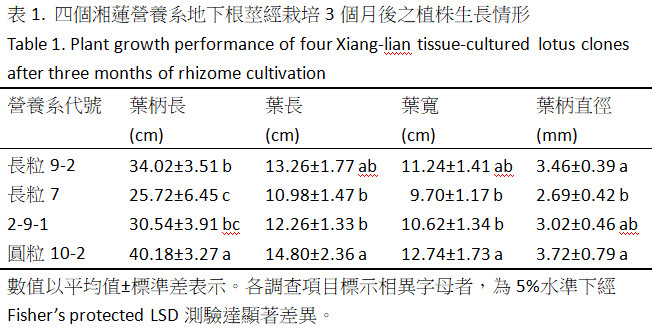 圖1.四個湘蓮營養系收穫之蓮藕性狀