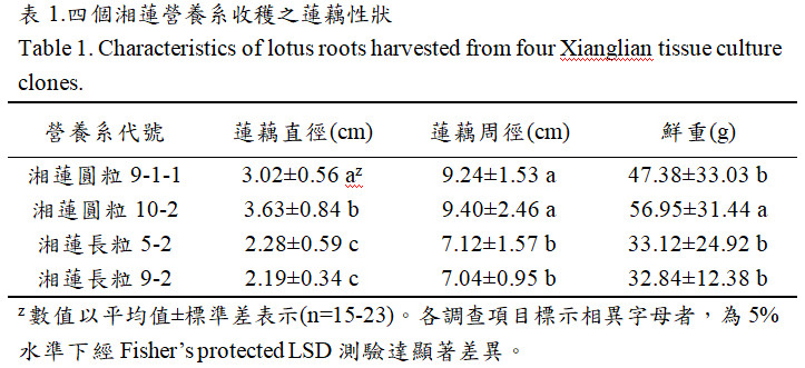 Fig.1. Characteristics of lotus roots harvested from four Xianglian tissue culture clones.