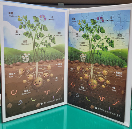 Fig1. Potato Plant Puzzle