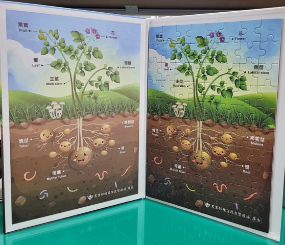 Fig1. TSIPS developed the “Potato Plant Puzzle”