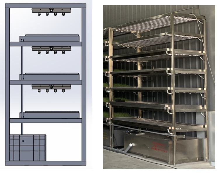 Figure3. Vertical rack system for facility-based onion plug seedling production.